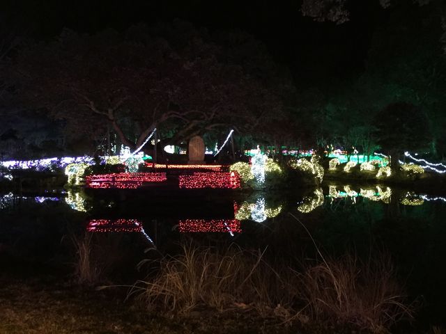 池に映ると倍きれいですね_春日大社萬葉植物園(神苑)
