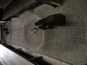 あがっち!さんの龍源院の投稿写真4