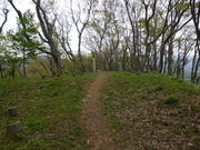 若年寄さんの虎御前山の投稿写真1