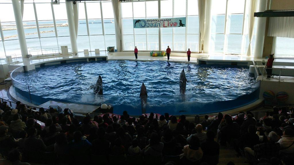 アクアワールド茨城県大洗水族館
