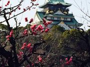 なーみさんの大阪城天守閣の投稿写真1