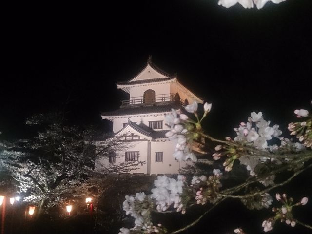 益岡公園の桜