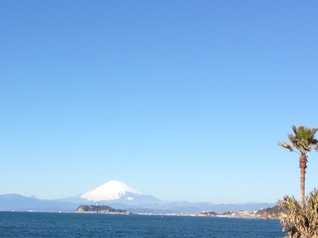 富士山と江ノ島も一望!_逗子マリーナ