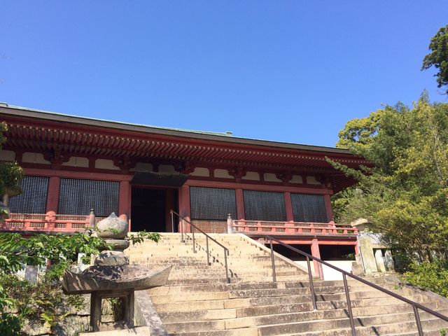太山寺の原生林