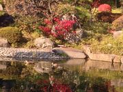 らぶこさんの目白庭園の投稿写真1