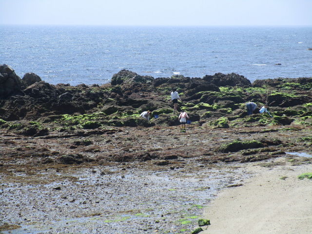 潮干狩_R188海岸線