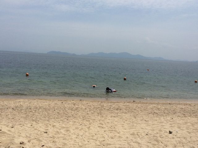 水はきれいです。_青柳浜水泳場