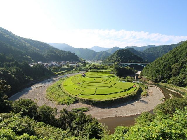 終戦記念日1_あらぎ島