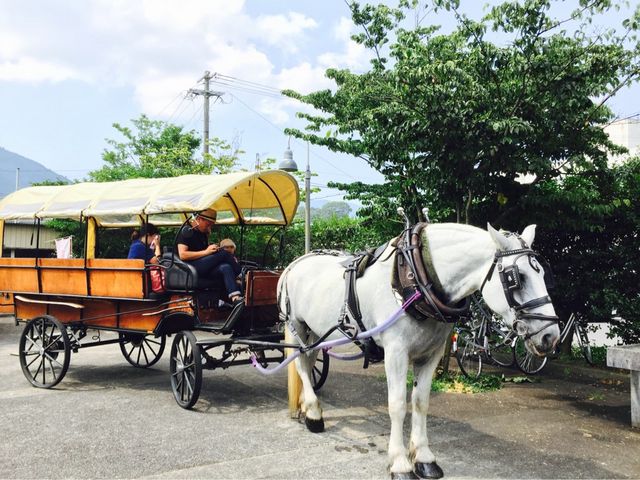 観光辻馬車