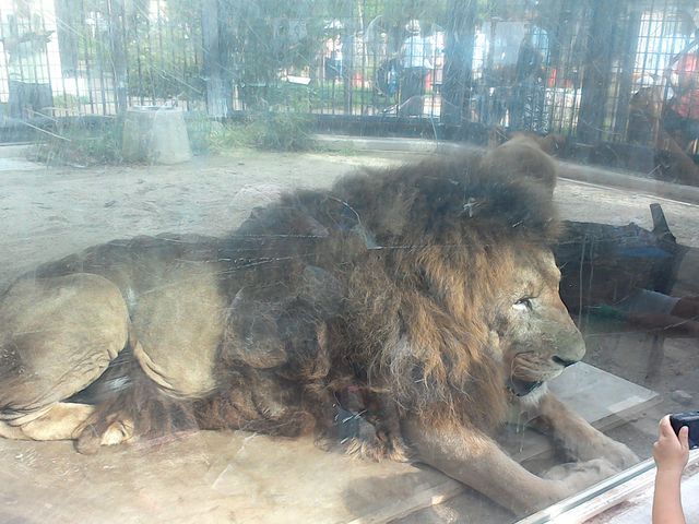 京都市動物園
