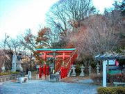 ドラさんの稲荷山公園(長野県佐久市)の投稿写真1