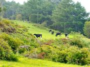 ドラさんの湯の丸の投稿写真1