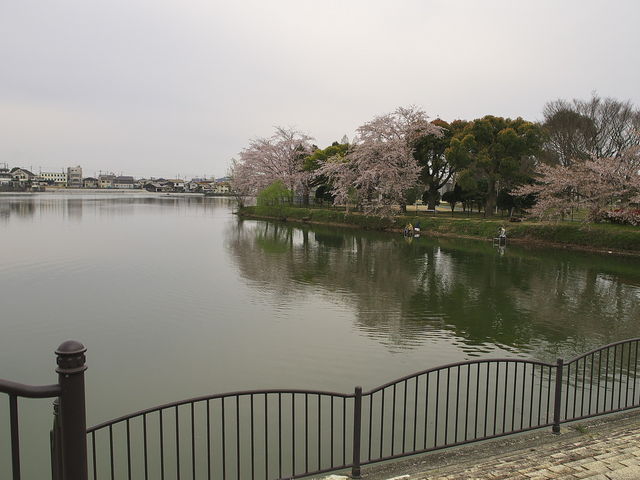 sklfhさんの大池総合公園の投稿写真1