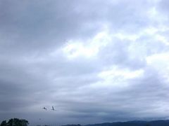 めぐめぐさんの瓢湖水きん公園への投稿写真1