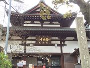 シトラさんの極楽寺の投稿写真1