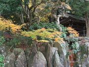 シトラさんの炭酸泉源の投稿写真1