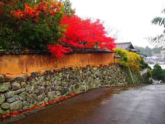 武家屋敷の土塀_杵築武家屋敷