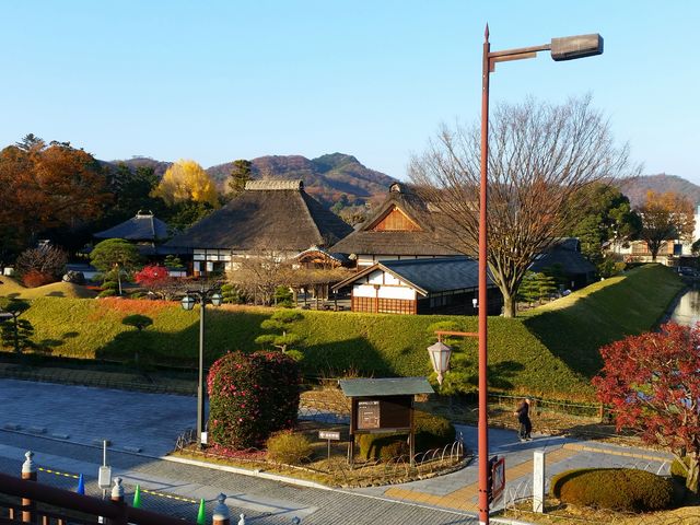 歩道橋の上から望む学校_史跡足利学校跡