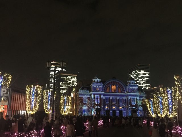 昼間も綺麗ですが、この時期はやはり夜がいいです。_中之島(大阪市北区)