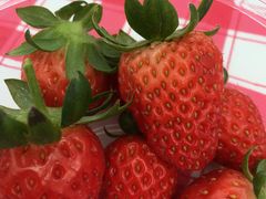 まゆへいさんのEitoku Farm いちご園 【瑚愛〜ことな〜】への投稿写真2