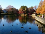 どんしゃんさんの栃木県中央公園の投稿写真1