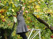 かつさんの観光りんご園城上フルーツパークの投稿写真2