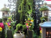 まこさんの法善寺横丁の投稿写真1