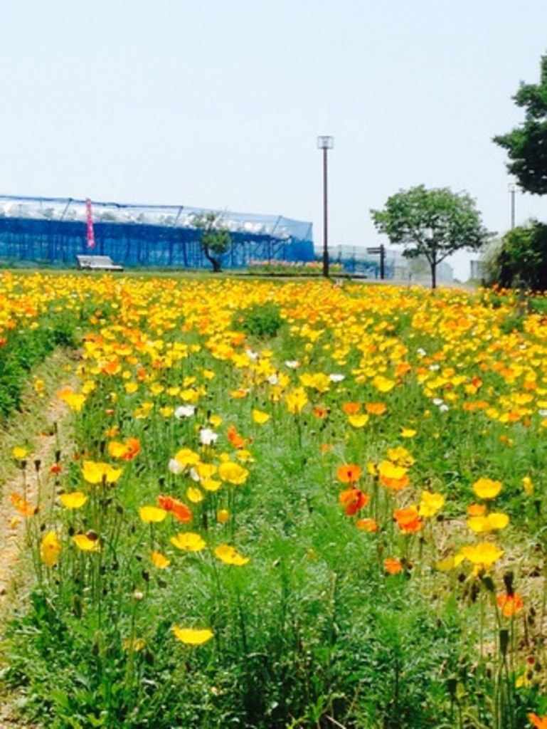 富田林市農業公園(サバーファーム)