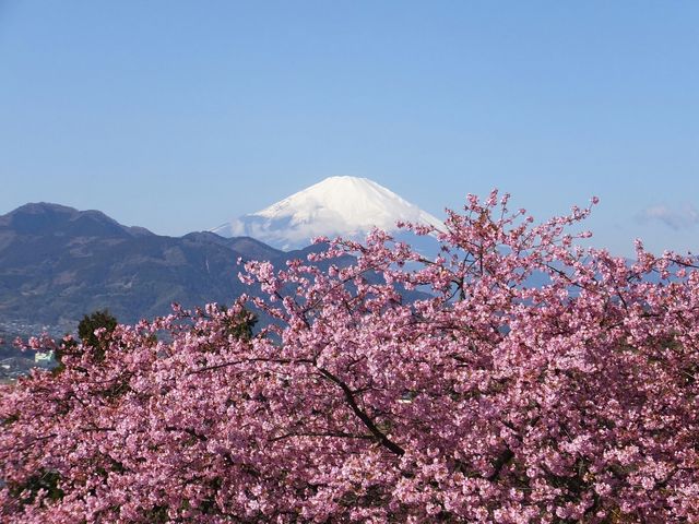 松田山ハーブガーデン