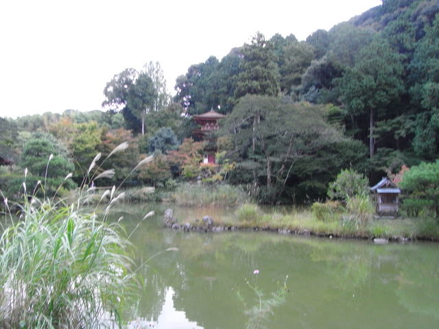 浄瑠璃寺三重塔