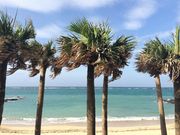 ななさんのばしゃ山海水浴場の投稿写真1