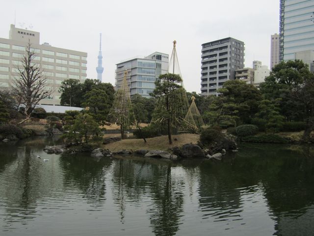 庭園の内部の写真_旧安田庭園