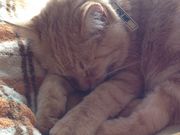 makorinさんの恋人岬の投稿写真2