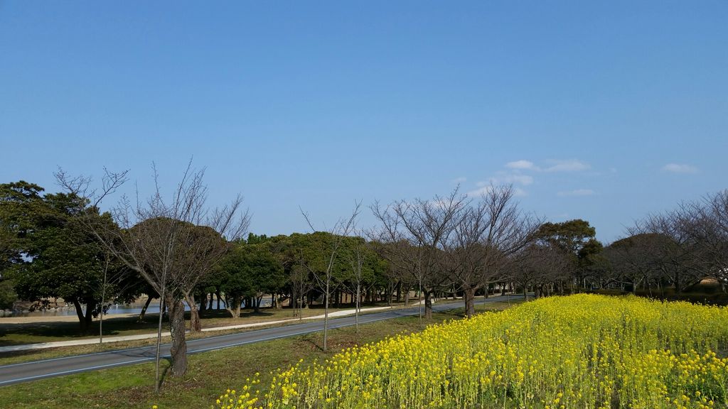 海の中道海浜公園