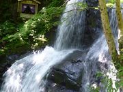 鶴亀松竹梅扇さんの四十八滝温泉しぶきの湯 湯遊館の投稿写真2