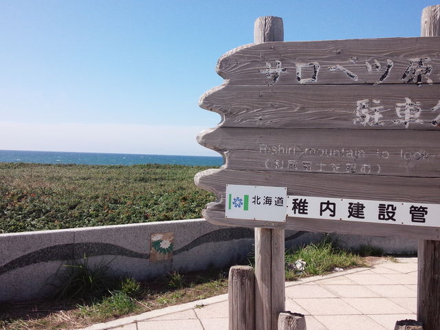 自然豊かな原生花園_サロベツ原生花園