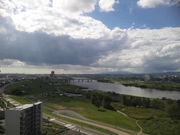 ぐりーんさんの淀川河川公園の投稿写真1