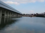 華さんの佐川美術館の投稿写真1