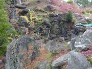 鶴亀松竹梅扇さんの名勝名古屋城二之丸庭園の投稿写真3