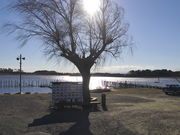 sklfhさんの多々良沼公園の投稿写真1