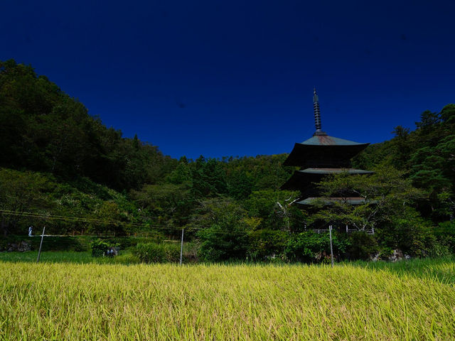 安久津八幡神社_安久津八幡神社