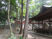 やんまあさんの矢田坐久志玉比古神社の投稿写真1