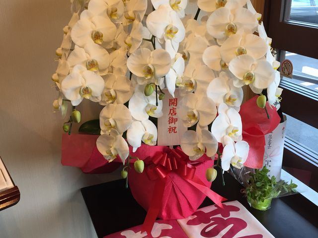 ふじひろ(旧芝楽)慣れ親しんだ芝楽の名が無くなったのは寂しいけど味は変わらずで良かったです。_焼肉 ふじひろ