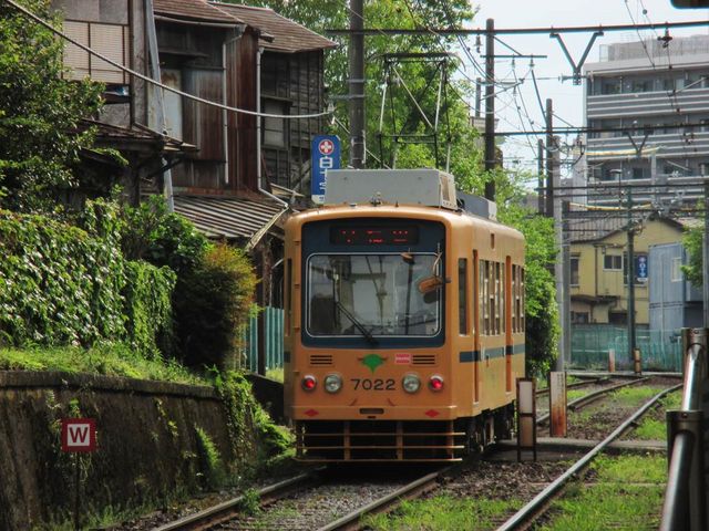 都電荒川線_ターキー