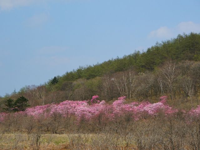 cocoさんの古峰ケ原高原の投稿写真2