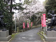 しどーさんの岩間寺(岩間山正法寺)の投稿写真2