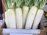 えっこさんの本龍院(待乳山聖天)の投稿写真1