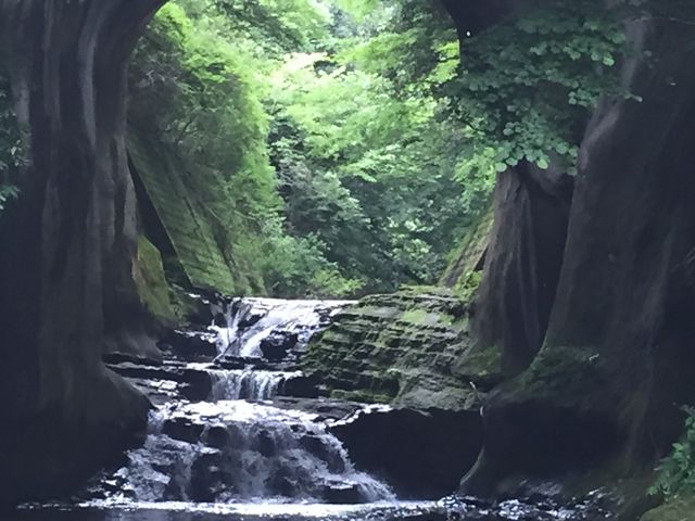 実際は何十倍も綺麗です。_濃溝の滝