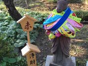 みなさんの寺町寺院群の投稿写真1