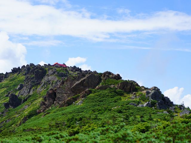 ゴツゴツとした岩が目立ちます_早池峰山(岩手県遠野市)
